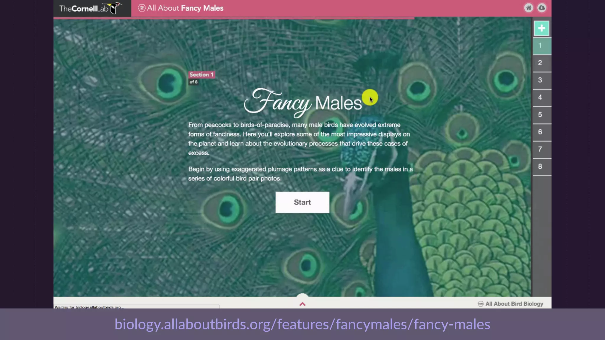 polygon.com/a/xbox-one-review
 