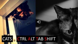 MY HOUSECATS CTRL ALT TAB SHIFT
 