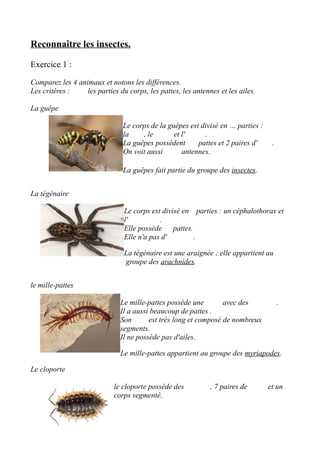 Reconnaître les insectes.
Exercice 1 :
Comparez les 4 animaux et notons les différences.
Les critères : les parties du corps, les pattes, les antennes et les ailes.
La guêpe
Le corps de la guêpes est divisé en … parties :
la , le et l' .
La guêpes possèdent pattes et 2 paires d' .
On voit aussi antennes.
La guêpes fait partie du groupe des insectes.
La tégénaire
Le corps est divisé en parties : un céphalothorax et
l' .
Elle possède pattes.
Elle n'a pas d' .
La tégénaire est une araignée ; elle appartient au
groupe des arachnides.
le mille-pattes
Le mille-pattes possède une avec des .
Il a aussi beaucoup de pattes .
Son est très long et composé de nombreux
segments.
Il ne possède pas d'ailes.
Le mille-pattes appartient au groupe des myriapodes.
Le cloporte
le cloporte possède des , 7 paires de et un
corps segmenté.
 