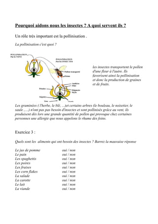 Pourquoi aidons nous les insectes ? A quoi servent ils ?
Un rôle très important est la pollinisation .
La pollinisation c'est quoi ?
les insectes transportent le pollen
d'une fleur à l'autre. Ils
favorisent ainsi la pollinisation
et donc la production de graines
et de fruits.
Les graminées ( l'herbe, le blé, ...)et certains arbres (le bouleau, le noisetier, le
saule ,....) n'ont pas pas besoin d'insectes et sont pollinisés grâce au vent, ils
produisent dès lors une grande quantité de pollen qui provoque chez certaines
personnes une allergie que nous appelons le rhume des foins.
Exercice 3 :
Quels sont les aliments qui ont besoin des insectes ? Barrez la mauvaise réponse
Le jus de pomme oui / non
Le pain oui / non
Les spaghettis oui / non
Les poires oui / non
Les fraises oui / non
Les corn flakes oui / non
La salade oui / non
La carotte oui / non
Le lait oui / non
La viande oui / non
 