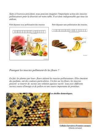 Suite à l'exercice précédent, nous pouvons imaginer l'importante action des insectes
pollinisateurs pour la diversité sur notre table. Il est donc indispensable que nous les
aidions.
Petit déjeuner avec pollinisation des insectes. Petit déjeuner sans pollinisation des insectes.
Pourquoi les insectes pollinisent-ils ?
Pourquoi les insectes pollinisent-ils les fleurs ?
En fait, les plantes par leurs fleurs attirent les insectes pollinisateurs. Elles émettent
des parfums, ont des couleurs particulières. Un fois sur les fleurs, les insectes
peuvent se nourrir de nectar, une solution aqueuse sucrée (eau avec différents
sucres) source d'énergie et de pollen est une source importante de protéines.
Les abeilles domestiques.
 