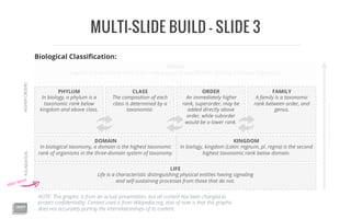 MULTI-SLIDE BUILD – SLIDE 3
LIFE
Life is a characteristic distinguishing physical entities having signaling
and self-sustaining processes from those that do not.
DOMAIN
In biological taxonomy, a domain is the highest taxonomic
rank of organisms in the three-domain system of taxonomy.
KINGDOM
In biology, kingdom (Latin: regnum, pl. regna) is the second
highest taxonomic rank below domain.
GENUS
A genus is a taxonomic rank used in the biological classiﬁcation of living and fossil organisms.
FOUNDATIONHIGHERORDERS
EVERYTHINGISASPECIES
PHYLUM
In biology, a phylum is a
taxonomic rank below
kingdom and above class.
CLASS
The composition of each
class is determined by a
taxonomist.
ORDER
An immediately higher
rank, superorder, may be
added directly above
order, while suborder
would be a lower rank.
FAMILY
A family is a taxonomic
rank between order, and
genus.
start here!
NOTE: This graphic is from an actual presentation, but all content has been changed to
protect conﬁdentiality. Content used is from Wikipedia.org, also of note is that this graphic
does not accurately portray the interrelationships of its content.
Biological Classiﬁcation:
 