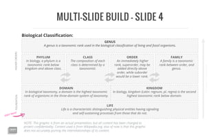 MULTI-SLIDE BUILD – SLIDE 4
LIFE
Life is a characteristic distinguishing physical entities having signaling
and self-sustaining processes from those that do not.
DOMAIN
In biological taxonomy, a domain is the highest taxonomic
rank of organisms in the three-domain system of taxonomy.
KINGDOM
In biology, kingdom (Latin: regnum, pl. regna) is the second
highest taxonomic rank below domain.
GENUS
A genus is a taxonomic rank used in the biological classiﬁcation of living and fossil organisms.
FOUNDATIONHIGHERORDERS
EVERYTHINGISASPECIES
PHYLUM
In biology, a phylum is a
taxonomic rank below
kingdom and above class.
CLASS
The composition of each
class is determined by a
taxonomist.
ORDER
An immediately higher
rank, superorder, may be
added directly above
order, while suborder
would be a lower rank.
FAMILY
A family is a taxonomic
rank between order, and
genus.
start here!
NOTE: This graphic is from an actual presentation, but all content has been changed to
protect conﬁdentiality. Content used is from Wikipedia.org, also of note is that this graphic
does not accurately portray the interrelationships of its content.
Biological Classiﬁcation:
 