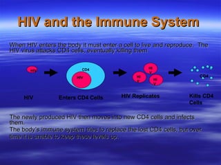 HIV and the Immune System   When HIV enters the body it must enter a cell to live and reproduce.  The HIV virus attacks CD4 cells, eventually killing them   The newly produced HIV then moves into new CD4 cells and infects them.  The body’s immune system tries to replace the lost CD4 cells, but over  time it is unable to keep these levels up. HIV HIV HIV HIV CD4 HIV HIV Enters CD4 Cells HIV Replicates Kills CD4 Cells CD4 