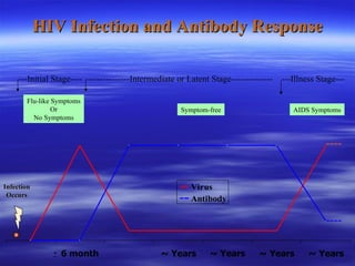 HIV Infection and Antibody Response Infection Occurs AIDS Symptoms ---Initial Stage---- ---------------Intermediate or Latent Stage-------------- ---Illness Stage--- Flu-like Symptoms Or No Symptoms Symptom-free < ---- ---- 