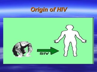 Origin of HIV 