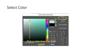 Animation step by step instruction | PPT