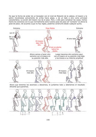 He aquí la forma de andar de un boxeador con el nivel de flotación de la cabeza, el trasero y la
pelvis moviéndose activamente de arriba hacia abajo, y de un lado a otro como principal
característica. La acción del trasero nos da el peso. Pero, y sólo para complicar las cosas, hemos
hecho los extremos con lo que normalmente sería nuestra pose de paso (el "contacto" es ahora la
pose de paso). De acuerdo a que no hay reglas, podemos construirlo desde cualquier punto.
159
Extremo ExtremoPose Media
De un
lado.
(en 8´s)
El trasero
algo más
alto.
Al otro lado
El pie se planta
sobre los
dedos.
Ahora vamos a hacer otro
extremo con el trasero en
su posición más alta.
Luego hacemos otro extremo aquí,
con el trasero en su posición más baja
y los brazos a su máxima amplitud.
El trasero
más alto
El trasero
más bajo
Ahora que tenemos los ascensos y descensos, lo juntamos todo y obtenemos el resultado
eficiente que queremos.
 