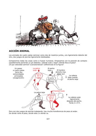 ACCIÓN ANIMAL
Los animales de cuatro patas caminan como dos de nosotros juntos, uno ligeramente delante del
otro, dos juegos de piernas ligeramente desfasadas.
Comparamos todas las cosas como si fueran humanas. Empezamos con la posición de contacto
(posiblemente poniendo un pie delante). ¿Dónde sube y baja? ¿Dónde lleva el peso?
¿A que velocidad camina? ¿Características? ¿Diferencias en la figura?
La pelvis
sube
El pecho
baja El hombro
derecho mas
abajo aun
Un paseo
a cuatro patas
tiene dos
extremidades
principales
(exageración)
Sube al
dar el
paso El pecho
baja en el
contacto
La cabeza
baja cuando
el pecho baja
La pelvis baja
Baja
en el
contacto
La cabeza sube
ligeramente
después del pecho.
Tarda 2 o 4 fr.
El pecho
sube al
dar el
paso
El hombro sube
Pero con dos juegos de piernas trabajando, hay mucha transferencia de peso al andar.
De donde viene el peso, donde esta y a donde va.
327
 