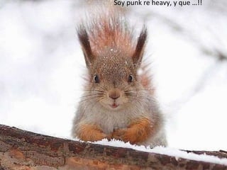 Soy punk re heavy, y que …!! 