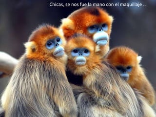 Chicas, se nos fue la mano con el maquillaje .. 