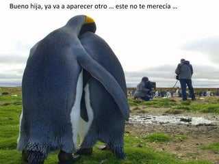 Bueno hija, ya va a aparecer otro … este no te merecía … 