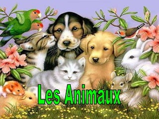 Les Animaux 