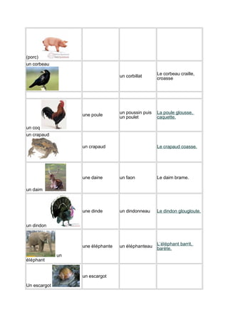 (porc)
un corbeau
un corbillat

une poule

Le corbeau craille,
croasse

un poussin puis
un poulet

La poule glousse,
caquette.

un coq
un crapaud
un crapaud

Le crapaud coasse.

une daine

un faon

Le daim brame.

une dinde

un dindonneau

Le dindon glougloute.

une éléphante

un éléphanteau

L’éléphant barrit,
barète.

un daim

un dindon

un
éléphant

un escargot
Un escargot

 