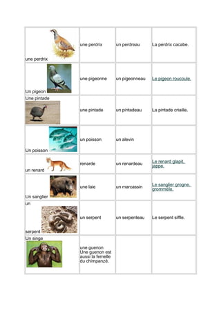 une perdrix

un perdreau

La perdrix cacabe.

une pigeonne

un pigeonneau

Le pigeon roucoule.

une pintade

un pintadeau

La pintade criaille.

un poisson

un alevin

renarde

un renardeau

Le renard glapit,
jappe.

une laie

un marcassin

Le sanglier grogne,
grommèle.

un serpent

un serpenteau

Le serpent siffle.

une perdrix

Un pigeon
Une pintade

Un poisson

un renard

Un sanglier
un

serpent
Un singe
une guenon
Une guenon est
aussi la femelle
du chimpanzé.

 