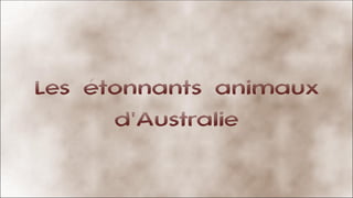 Les étonnants animaux
d'Australie
 