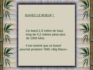 SUIVEZ LE BOEUF !

Ce bœuf,1,9 mètre de haut,
long de 4,2 mètres pèse plus
de 1000 kilos.
Il est estimé que ce boeuf
pourrait produire 7665 «Big Macs».

 