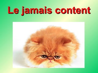 Le jamais content 