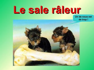 Le sale râleur Un de nous est de trop ! 