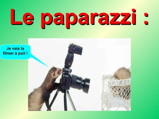 Le paparazzi : Je vais la filmer à poil ! 