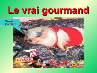 Le vrai gourmand Demain, j’ arrête ! 