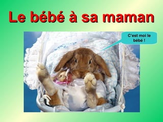Le bébé à sa maman C’est moi le bébé ! 
