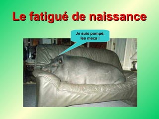 Le fatigué de naissance Je suis pompé, les mecs ! 