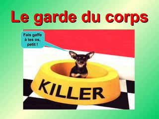Le garde du corps Fais gaffe à tes os, petit ! 