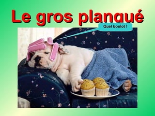 Le gros planqué Quel boulot ! 