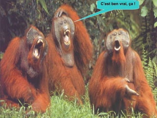 C’est ben vrai, ça ! 