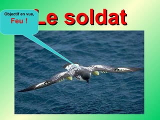 Le soldat Objectif en vue, Feu ! 