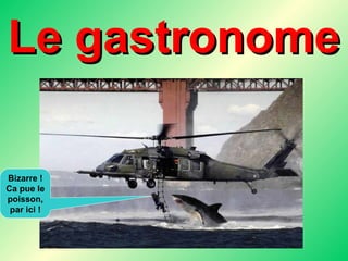 Le gastronome Bizarre ! Ca pue le poisson, par ici ! 