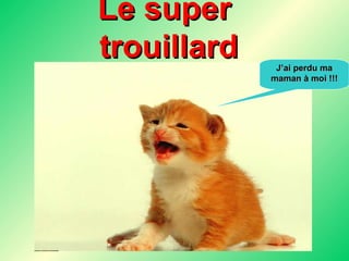 Le super  trouillard J’ai perdu ma maman à moi !!! 