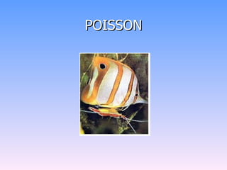 POISSON 