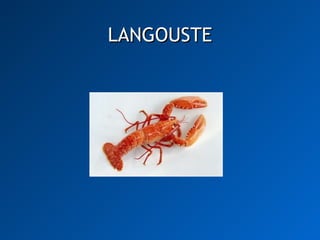 LANGOUSTE 