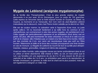 Mygale de Leblond (araignée mygalomorphe)
de la famille des Theraphosidae). C'est la plus grande espèce de mygale
découverte à ce jour avec 30 cm d'envergure, pour un poids de 130 grammes.
Cette espèce se rencontre dans la forêt tropical humide en Guyane, au Brésil, au
Guyana, au Suriname et au Venezuela. Son nom vient de Jean-Baptiste Leblond
(naturaliste) qui la découvrit, mais c'est Pierre André Latreille qui la décrivit en 1804.
Elle est de couleur marron, la coloration varie à l'approche d'une mue, ou juste
après celle-ci. On la reconnaît facilement à sa taille hors du commun et son
céphalothorax, qui contrairement à celui des autres mygales, est parfaitement rond.
Cette mygale est particulièrement agressive et sa stridulation (bruit émis) met en
garde. De plus, elle peut bombarder de soies urticantes un intrus et si cela n‘a pas
suffi de le chasser, elle n'hésitera pas un instant à lui faire face et le mordre. Délivré
par des crochets de 2 cm, son venin est neurotoxique mais peu actif sur l'être
humain. Néanmoins la taille et la force des crochets provoqueront une forte douleur
en cas de morsure. La Mygale de Leblond se nourrit de tout ce qu'elle peut attraper:
insectes, oiseaux, grenouilles, rongeurs et même des serpents.
Vivant en milieu humide, cette araignée creuse son terrier profondément dans le sol
ou utilise un terrier abandonné. Elle chasse à l'affût, au sol, et n'est active que la
nuit. Les femelles ont une espérance de vie de 6 à 15 ans (record de 28 ans en
captivité) et les mâles de 3 à 6 ans. La stridulation peut servir à la reproduction, la
femelle choisissant, en général, le mâle dont le chant est le plus puissant, mais elle
sert également à éloigner un mâle rival.
 