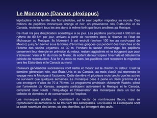 Le Monarque (Danaus plexippus)
lépidoptère de la famille des Nymphalidae, est le seul papillon migrateur au monde. Des
millions de papillons monarques orange et noir, en provenance des États-Unis et du
Canada, reviennent tous les ans dans la même forêt que leurs ancêtres au Mexique.
Ce rituel n'a pas d'explication scientifique à ce jour. Les papillons parcourent 4.500 km au
rythme de 80 km par jour, arrivant à partir de novembre dans la réserve de l’état de
Michoacan au Mexique. Ils hibernent à cet endroit (environ 100 km au nord-ouest de
Mexico) jusqu'en février sous la forme d'énormes grappes qui pendent des branches et de
l'écorce des sapins «oyamel» de 30 m. Pendant la saison d’hivernage, les papillons
conservent leur énergie en prévision du retour, restant agglutinés et ne bougeant que pour
s’abreuver. Vers la fin du mois de février, ils sortent de leur torpeur hivernale et débutent la
période de reproduction. À la fin du mois de mars, les papillons vont reprendre la migration
vers les États-Unis et le Canada au nord.
Plusieurs générations successives vont naître et mourir sur le chemin du retour. C’est la
dernière génération née, aux États-Unis et au Canada, au mois d’août qui reprendra le
voyage vers le Mexique à l’automne. Cette dernière vit plusieurs mois tandis que les autres
ne survivent que quelques semaines. Le monarque pèse à peine un demi gramme et a
une envergure d’ailes de 70 à 75 mm. Le programme américain «Monarch Watch» piloté
par l'université du Kansas, auxquels participent activement le Mexique et le Canada,
comprend deux volets : l'étiquetage et l'observation des monarques dans un but de
collecte de données et de conservation de l’espèce.
Les monarques adultes se nourrissent du nectar de nombreuses fleurs, mais se
reproduisent seulement là où se trouvent des asclépiades. Les feuilles de l’asclépiade sont
la seule nourriture des larves, ou des chenilles, qui émergent des œufs.
 