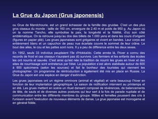 La Grue du Japon (Grus japonensis)
ou Grue de Mandchourie, est un grand échassier de la famille des gruidae. C'est un des plus
gros oiseaux du monde : taille de 160 cm, envergure de 2.40 m et poids de 950 g. Au Japon où
on la nomme Tancho, elle symbolise la paix, la longévité et la fidélité, d'où son côté
emblèmatique. On la retrouve jusqu’au dos des billets de 1.000 yens et dans les cours d'origami
(figures en papier plié). Les grues japonaises sont grégaires et vivent en bandes. Leur corps est
entièrement blanc et un capuchon de peau nue écarlate couvre le sommet de leur crâne. Le
bout des ailes, le cou et les pattes sont noirs. Il y a peu de différence entre les deux sexes.
En 1952, seuls 33 individus peuplaient l’île d'Hokkaïdo. Cette année là, l'hiver a connu des
records de froid et ces oiseaux n'auraient pas dû survivre. Les fermiers et les enfants des écoles
les ont nourris et sauvés. C'est ainsi qu'est née la tradition de nourrir les grues en hiver et des
sites de nourrissage sont entretenus par l'état. La population s’est alors stabilisée autour de 600
à 900 spécimens (selon les sources) et fait le bonheur des touristes qui viennent les
photographier. Un programme de réintroduction a également été mis en place en Russie. La
Grue du Japon est une espèce en danger d’extinction.
Les grues japonaises ont un régime omnivore (animal et végétal) et varie beaucoup l’hiver en
fonction de leur implantation géographique. La saison de nidification intervient au printemps et
en été. Les grues mettent en scène un rituel dansant composé de révérences, de balancements
de tête, de sauts et de diverses autres postures qui leur sert à la fois de parade nuptiale et de
communication entre les différents membres du groupe. Mâles et femelles poussent des cris à
l'unisson avant l'exécution de nouveaux éléments de danse. La grue japonaise est monogame et
en général fidèle.
 