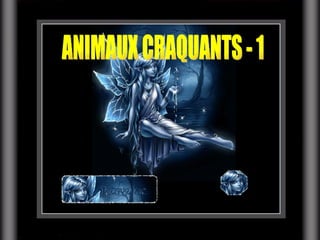 ANIMAUX CRAQUANTS - 1 