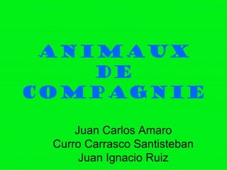 animaux de compagnie Juan Carlos Amaro Curro Carrasco Santisteban Juan Ignacio Ruiz 