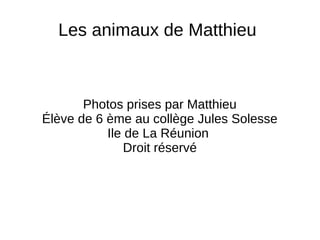 Les animaux de Matthieu
Photos prises par Matthieu
Élève de 6 ème au collège Jules Solesse
Ile de La Réunion
Droit réservé
 