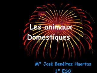 Les animaux  Domestiques Mº José Benéitez Huertas 1º ESO 