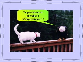 Tu passais ou tu
   cherches à
m’impressionner ?
 