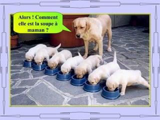 Alors ! Comment
elle est la soupe à
     maman ?
 