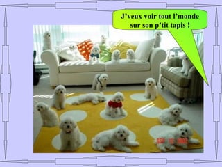 J’veux voir tout l’monde
   sur son p’tit tapis !
 