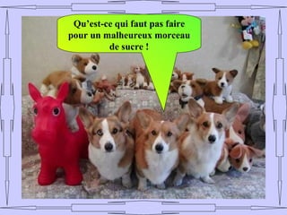 Qu’est-ce qui faut pas faire
pour un malheureux morceau
         de sucre !
 