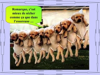 Remarque, c’est
  mieux de sécher
comme ça que dans
   l’essoreuse …
 