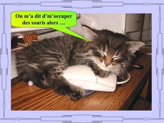 On m’a dit d’m’occuper
  des souris alors …
 