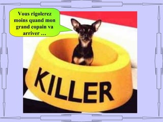 Vous rigolerez
moins quand mon
grand copain va
   arriver …
 