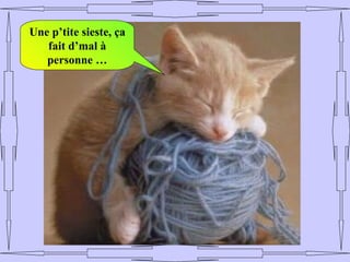 Une p’tite sieste, ça
   fait d’mal à
   personne …
 